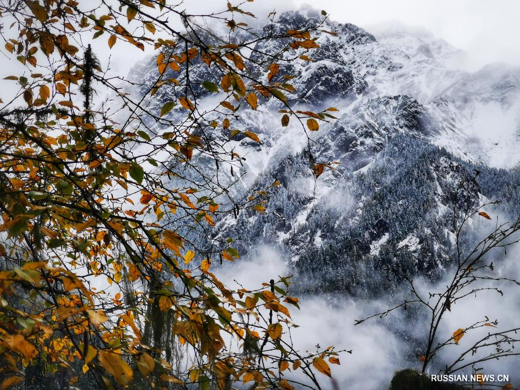 Прекрасные пейзажи после снегопада в национальном парке Цзючжайгоу