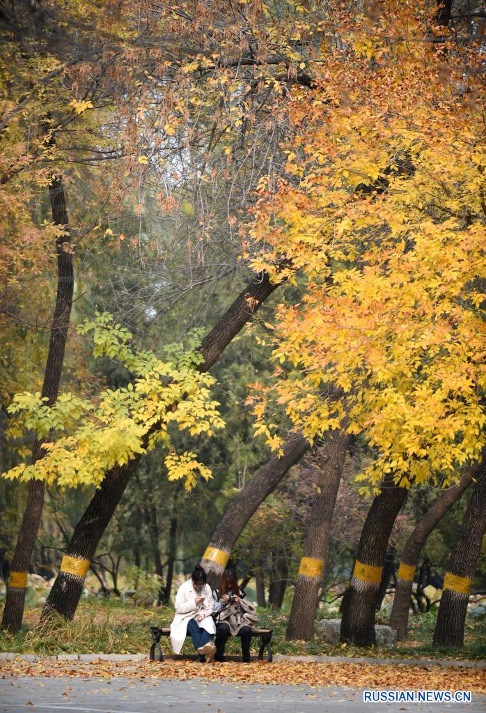 Осенний парк Юаньминъюань