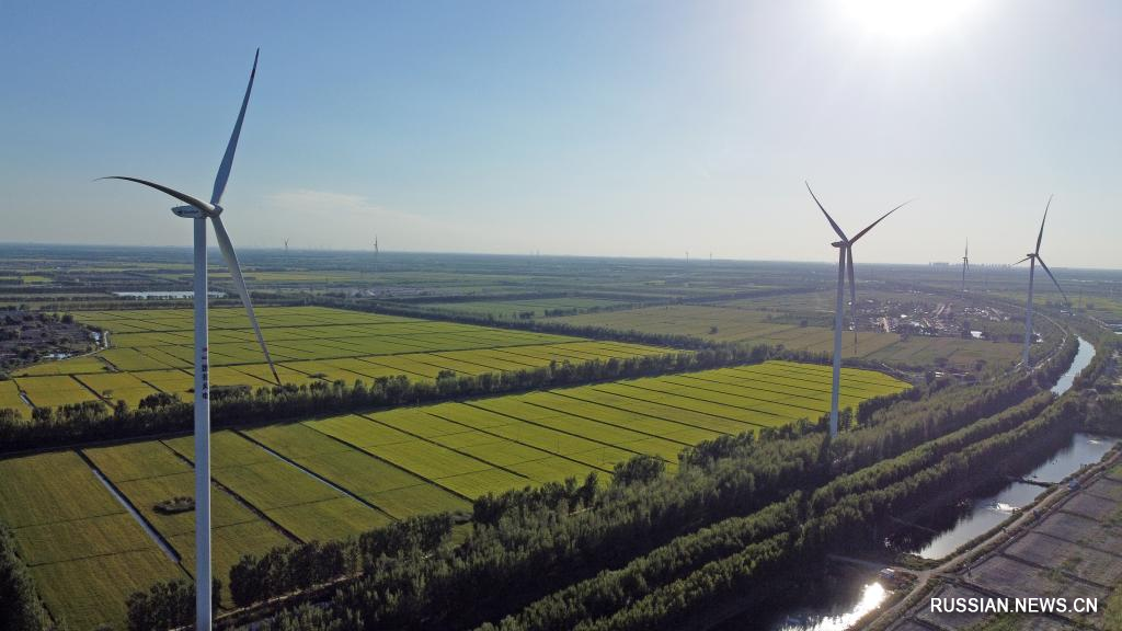 В 2021 году Инновационный индекс Китая вырос на 8 проц