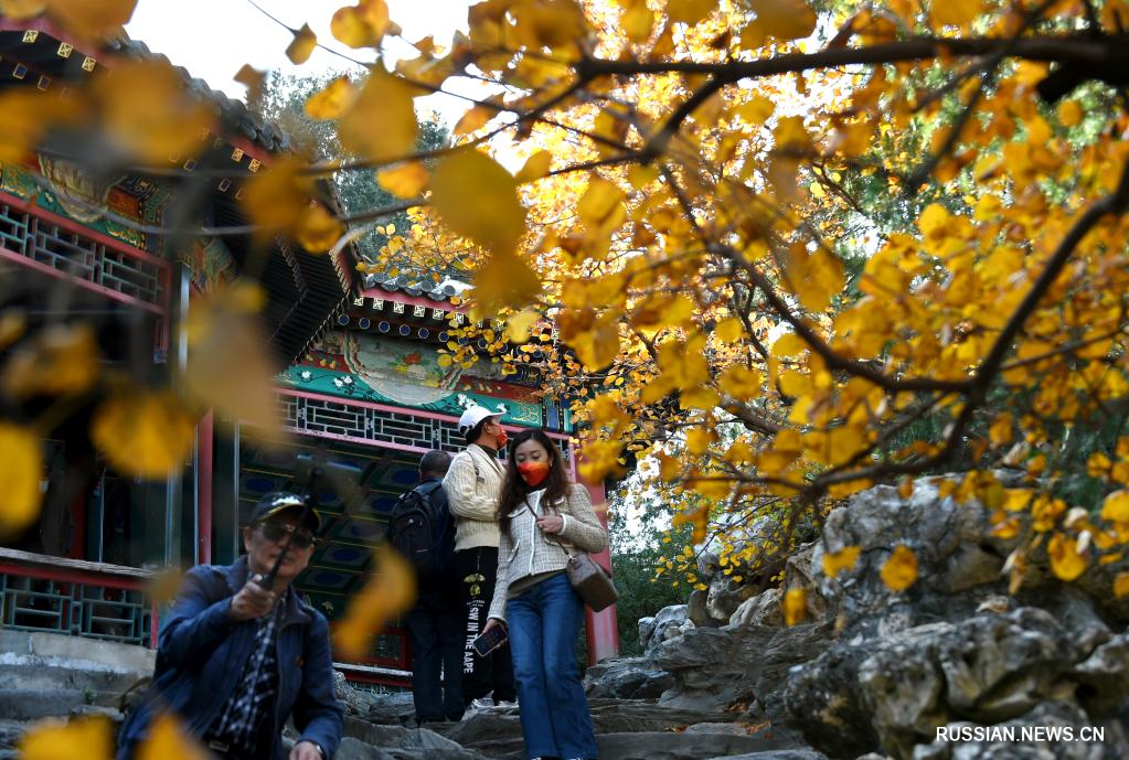 Осенние пейзажи в Пекине