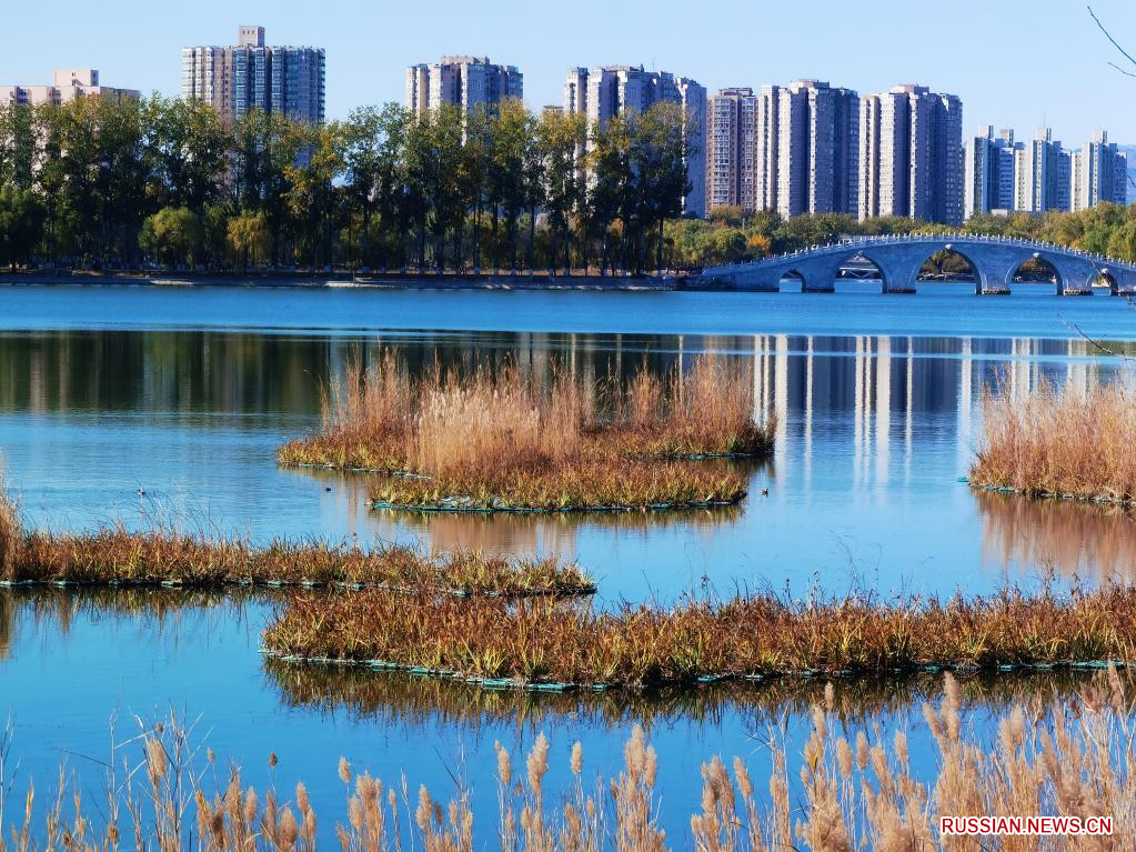 Осенние пейзажи в пекинском парке Юйюаньтань