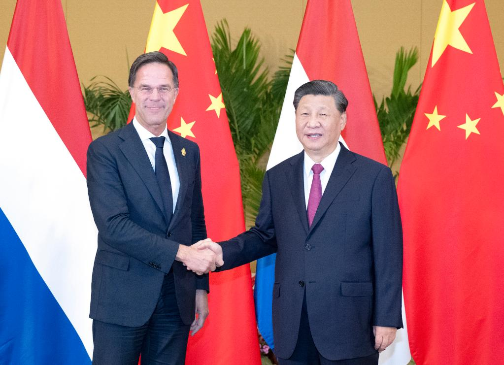 Си Цзиньпин провел встречу с премьер-министром Нидерландов М. Рютте