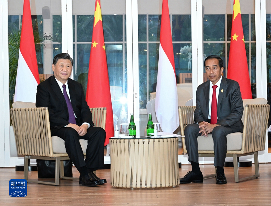 Си Цзиньпин провел переговоры с президентом Индонезии Дж. Видодо