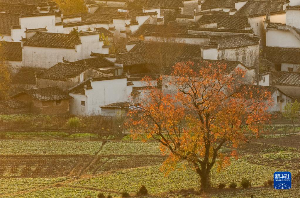 Живописные пейзажи уезда Исянь провинции Аньхой в начале зимы