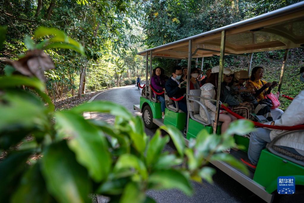 Туристический рынок Сишуанбаньна-Дайского автономного округа в провинции Юньнань не сбавляет своей популярности
