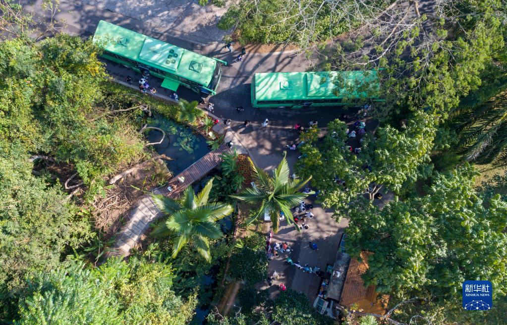 Туристический рынок Сишуанбаньна-Дайского автономного округа в провинции Юньнань не сбавляет своей популярности