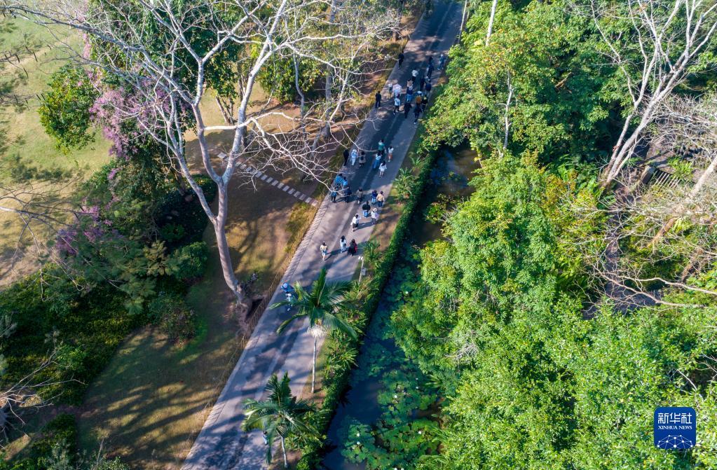 Туристический рынок Сишуанбаньна-Дайского автономного округа в провинции Юньнань не сбавляет своей популярности