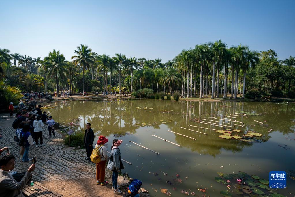 Туристический рынок Сишуанбаньна-Дайского автономного округа в провинции Юньнань не сбавляет своей популярности