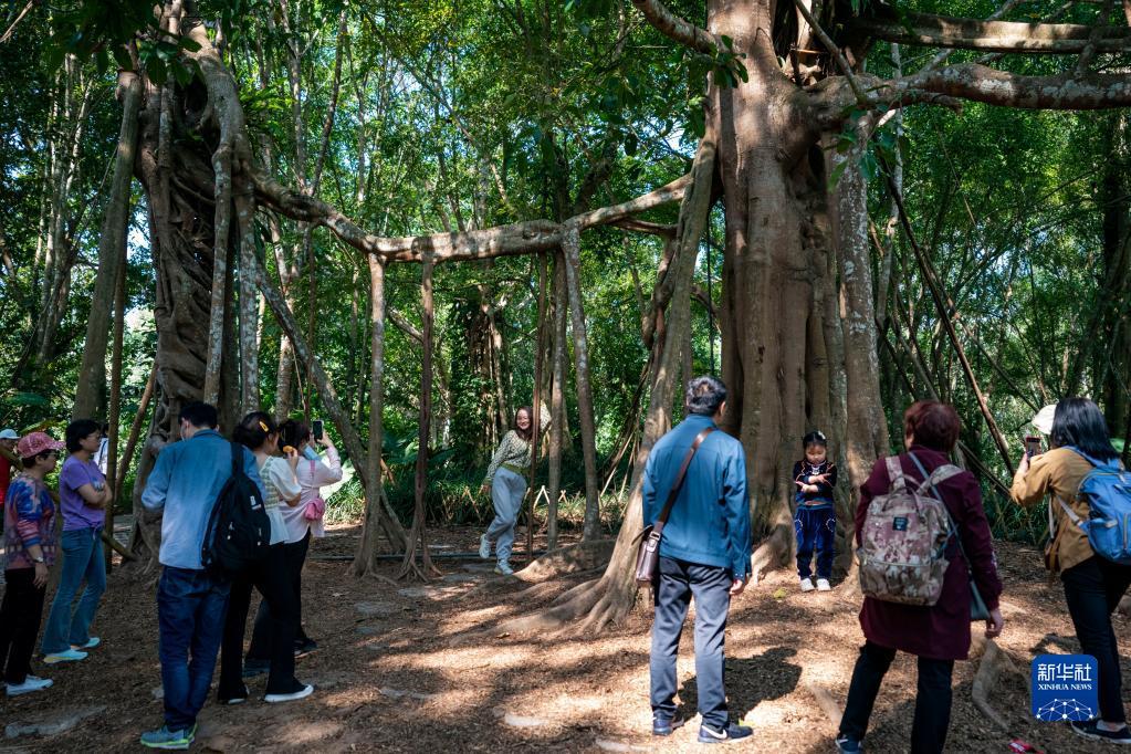 Туристический рынок Сишуанбаньна-Дайского автономного округа в провинции Юньнань не сбавляет своей популярности
