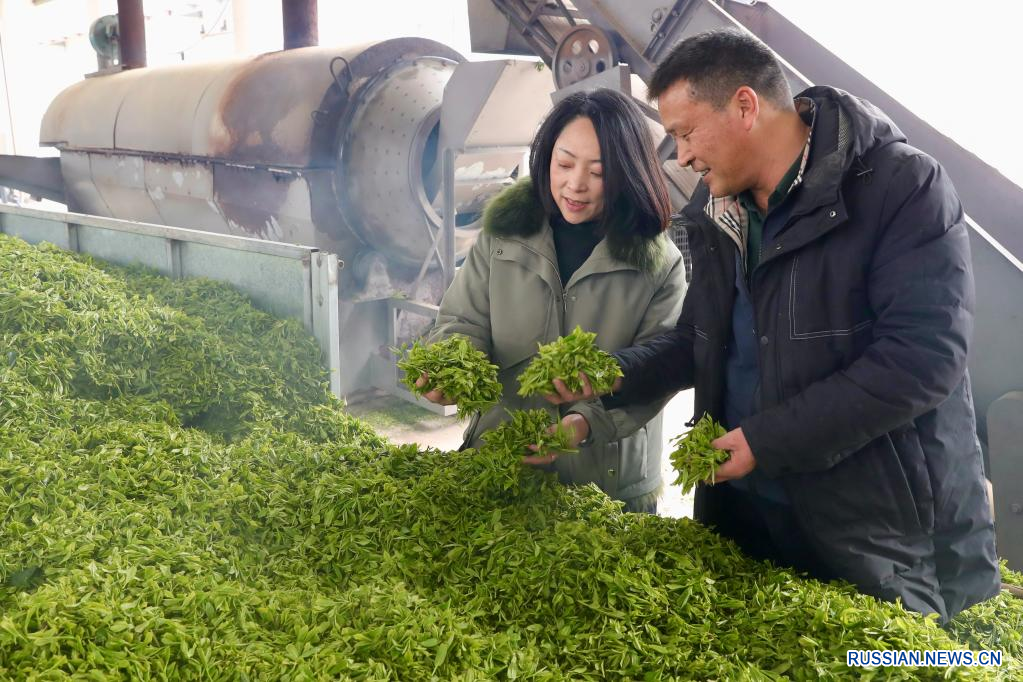 Производство чая и сельский туризм содействуют подъему села