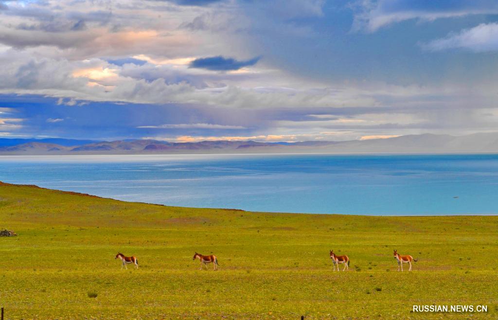 Прекрасные пейзажи озера Жари Намко в Тибете