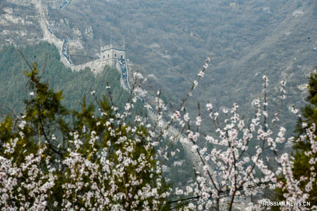Весенние пейзажи близ участка Великой Китайской стены "Цзюйюнгуань" под Пекином