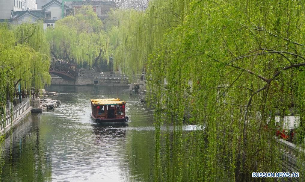 Весенние пейзажи в городе Цзинань
