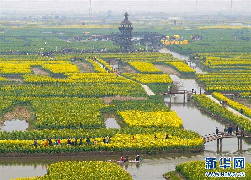 Цветение рапса в городе Синхуа на востоке Китая