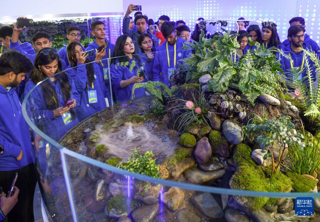 В Синьцзяне открылся весенний лагерь «Мост китайского языка» 