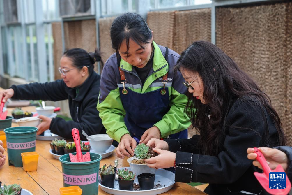 Очаровывающая сельская местность встречает весну «цветочной экономики»