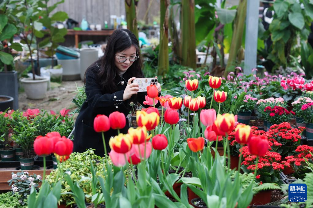 Очаровывающая сельская местность встречает весну «цветочной экономики»