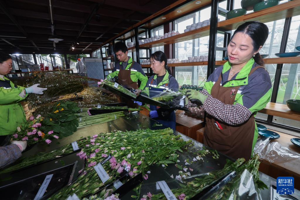 Очаровывающая сельская местность встречает весну «цветочной экономики»