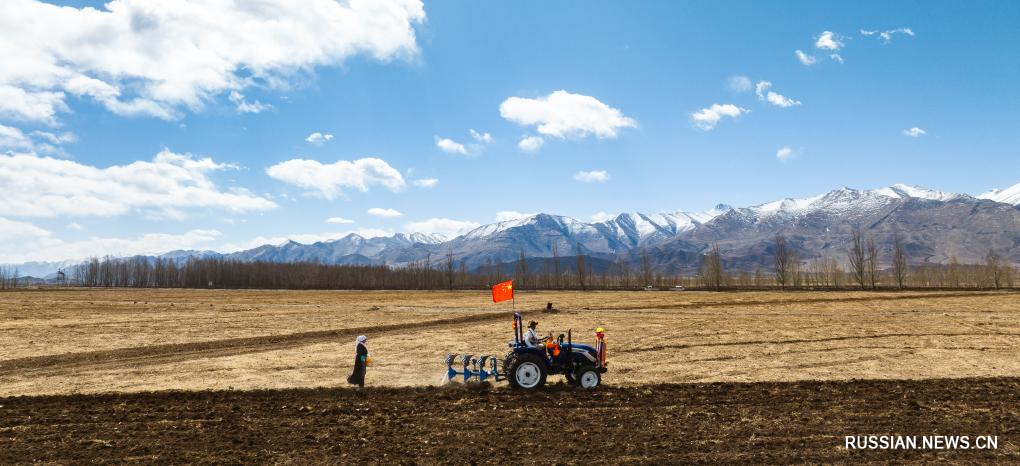 Сицзанские крестьяне провели церемонию весенней вспашки