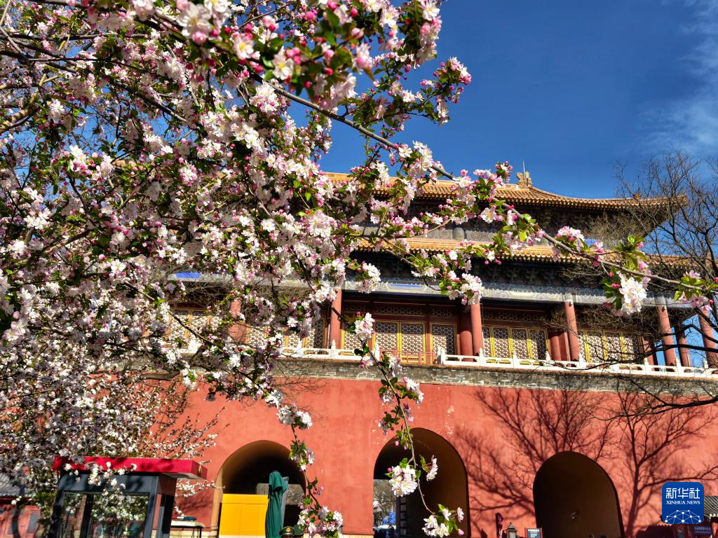 Прекрасные весенние пейзажи во дворце Гугун