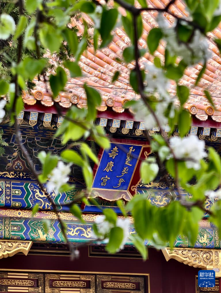 Прекрасные весенние пейзажи во дворце Гугун