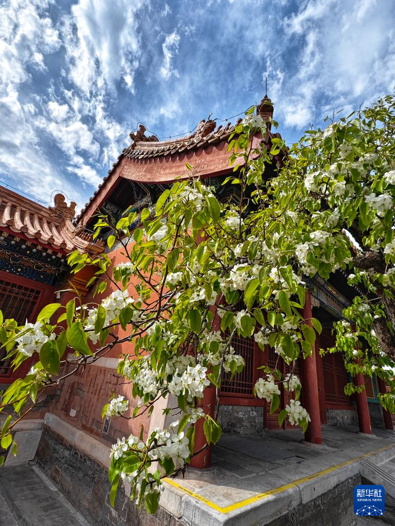 Прекрасные весенние пейзажи во дворце Гугун