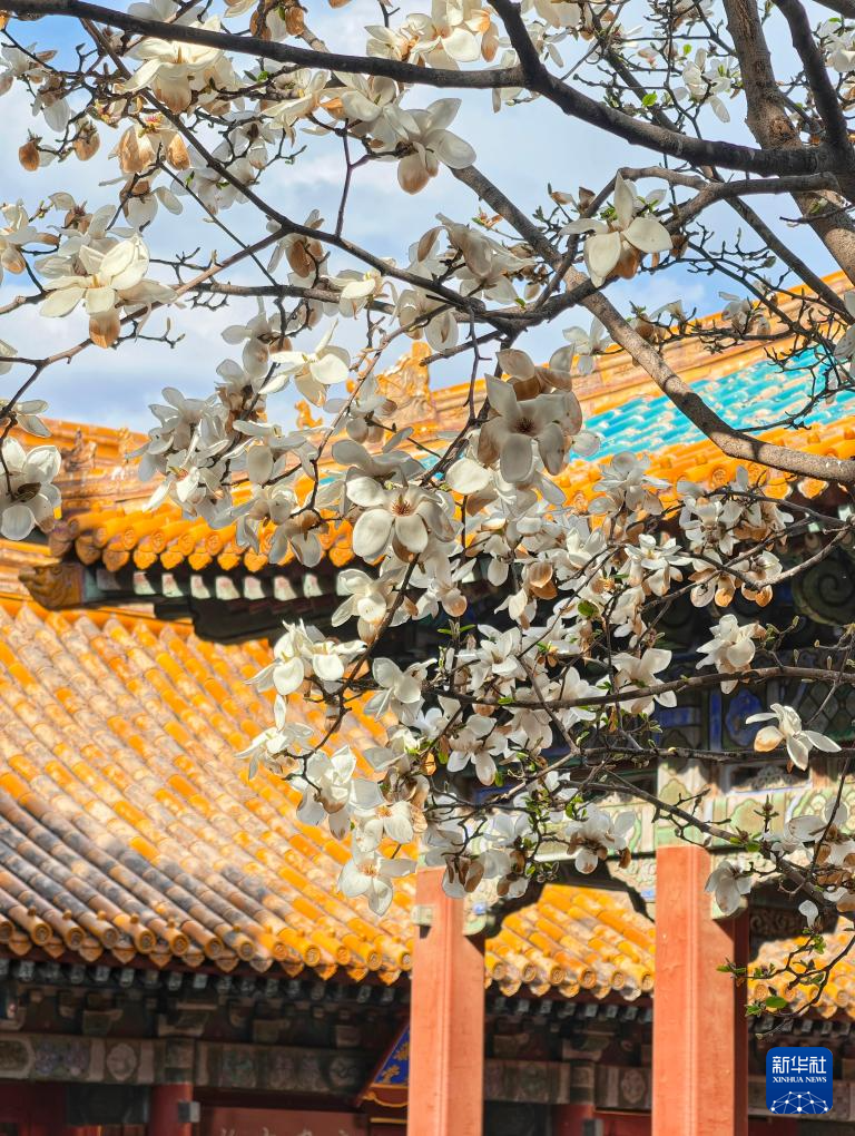 Прекрасные весенние пейзажи во дворце Гугун