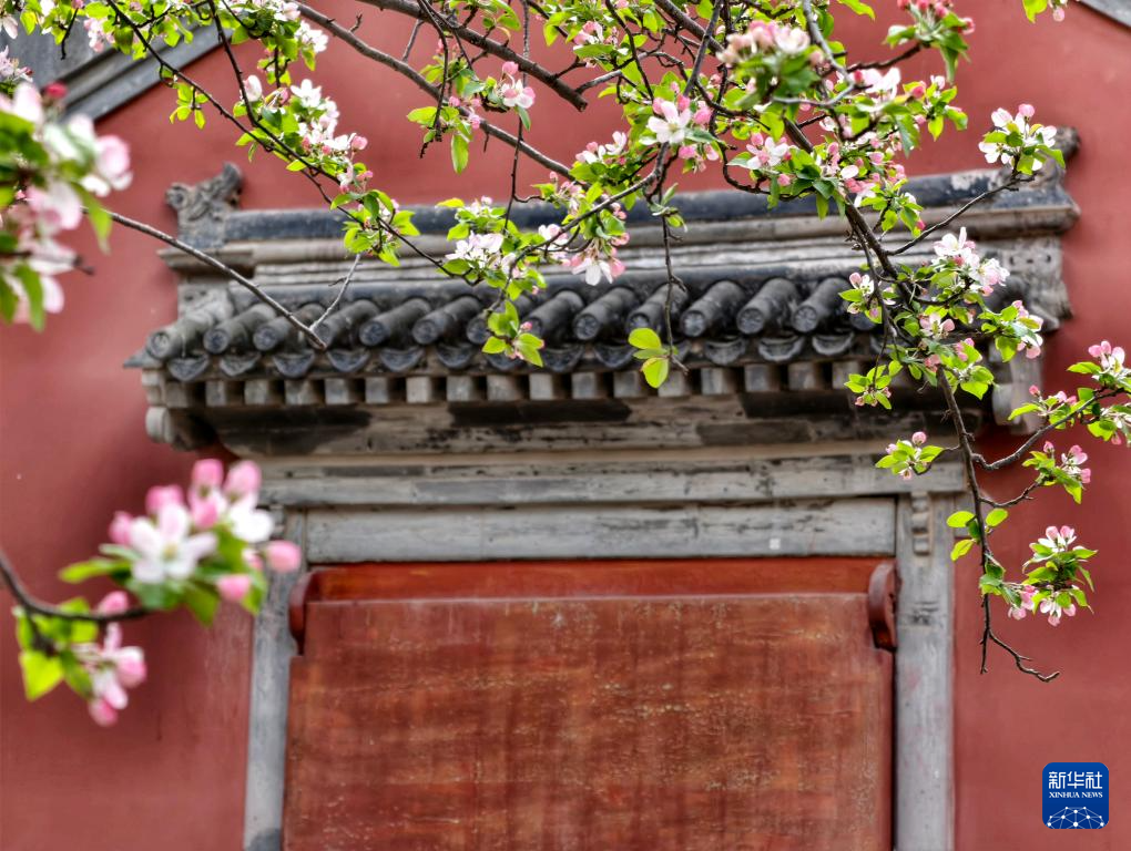 Прекрасные весенние пейзажи во дворце Гугун