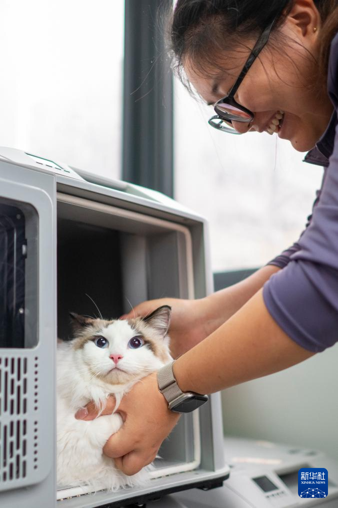 11 апреля, на вокзале Ханькоу в городе Ухань провинции Хубэй, пассажир помещает домашнюю кошку в специальный контейнер для перевозки домашних животных.
