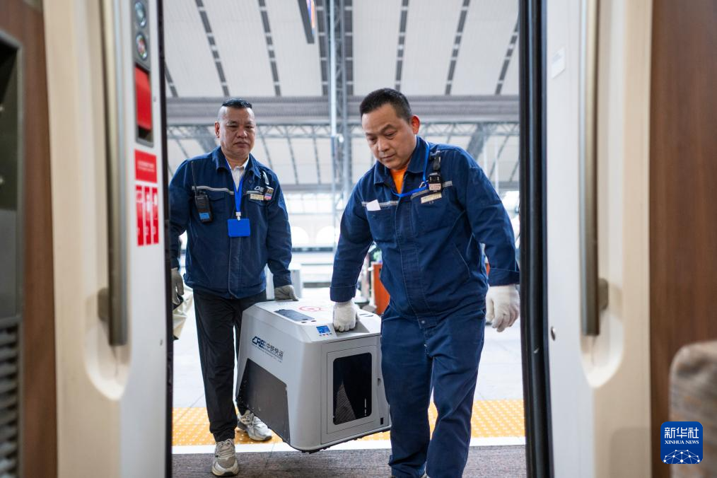 11 апреля, на вокзале Ханькоу в городе Ухань провинции Хубэй, сотрудники переносят контейнер с домашним животным в вагон высокоскоростного поезда.