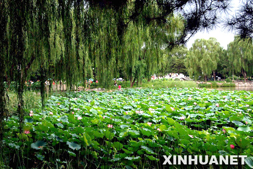 Ruinas de Yuanmingyuan Park1