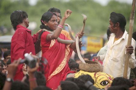 Se celebra la fiesta 'Jhapan' en India con las serpientes venenosas3