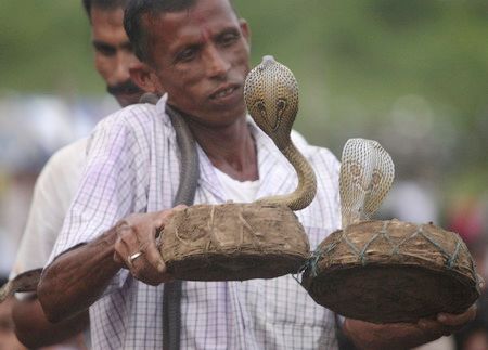Se celebra la fiesta 'Jhapan' en India con las serpientes venenosas5
