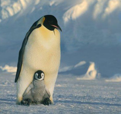 Mamá y su babé en los momentos emocionales2