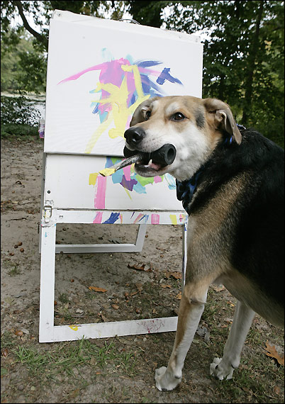 Obra -perro talentoso -se vendrá- 1.000- libras esterlinas 3