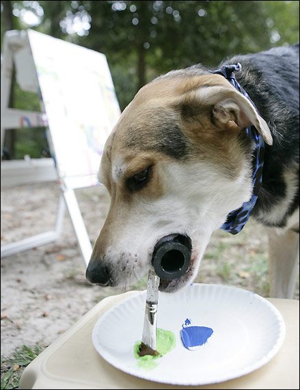 Obra -perro talentoso -se vendrá- 1.000- libras esterlinas 6、