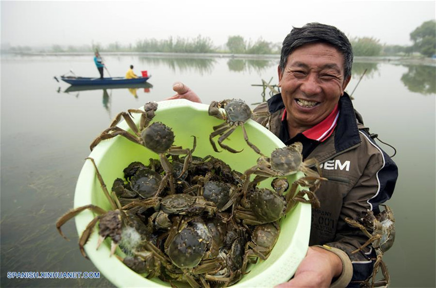 Muchas partes de China han entrado en la temporada de cosecha en este otoño