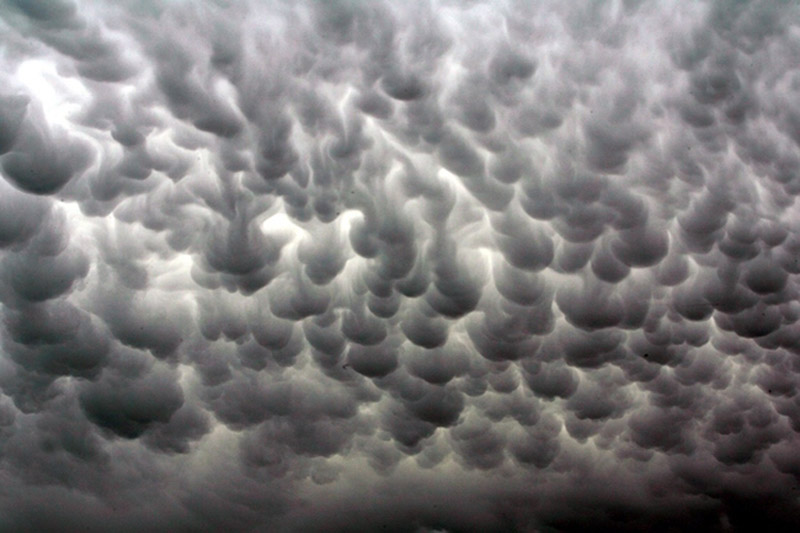 Nubes Mammatus