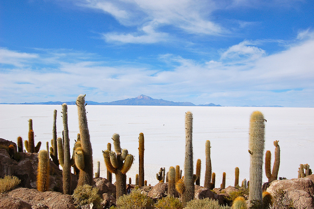 TOP 10 paisajes del Altiplano de los Andes Centrales que cuesta creer que existen 【Parte I】 1