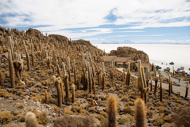 TOP 10 paisajes del Altiplano de los Andes Centrales que cuesta creer que existen 【Parte I】 3