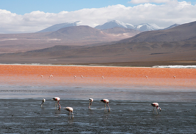 TOP 10 paisajes del Altiplano de los Andes Centrales que cuesta creer que existen 【Parte I】 22