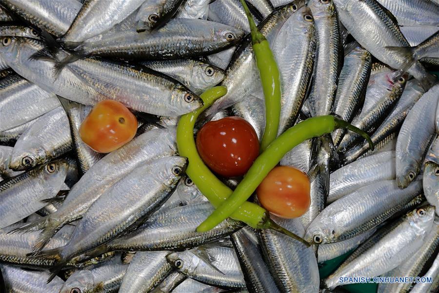 FILIPINAS-QUEZON-MERCADO-SARDINAS-PELIGRO DE EXTINCION