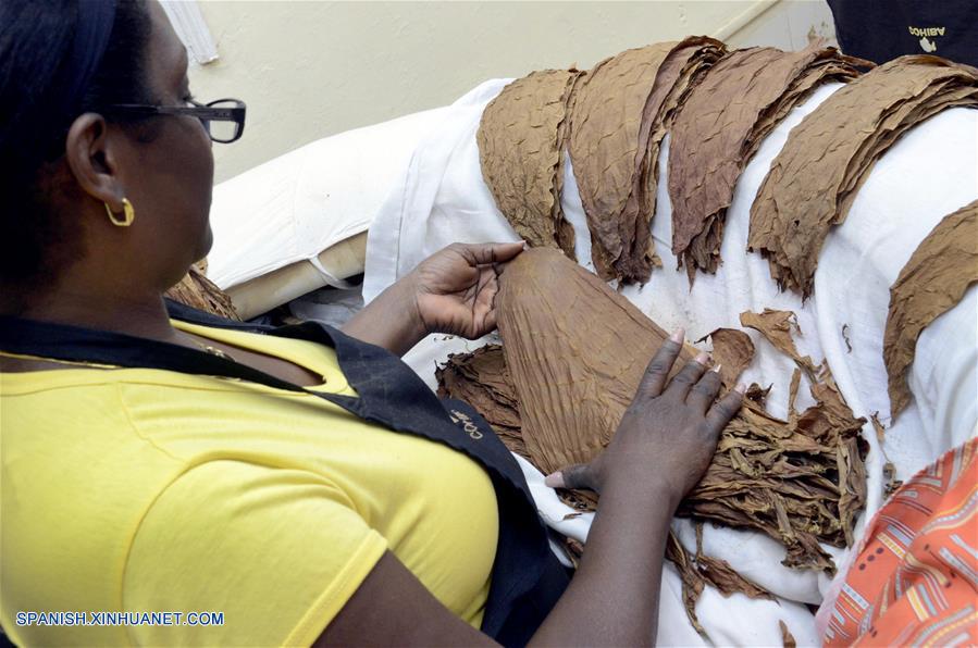 CUBA-HABANA-FABRICA-HABANOS