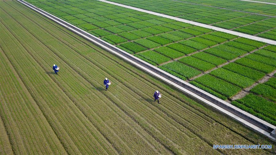 CHINA-JIANGSU-PRIMAVERA-AGRICULTURA