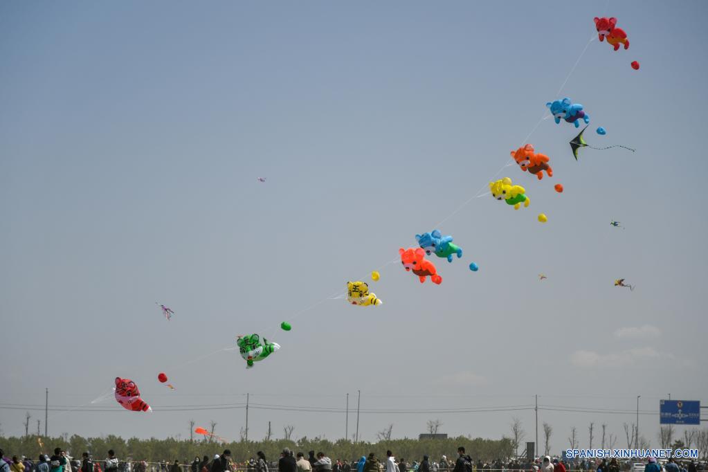 El 38 Festival Internacional de Cometas de