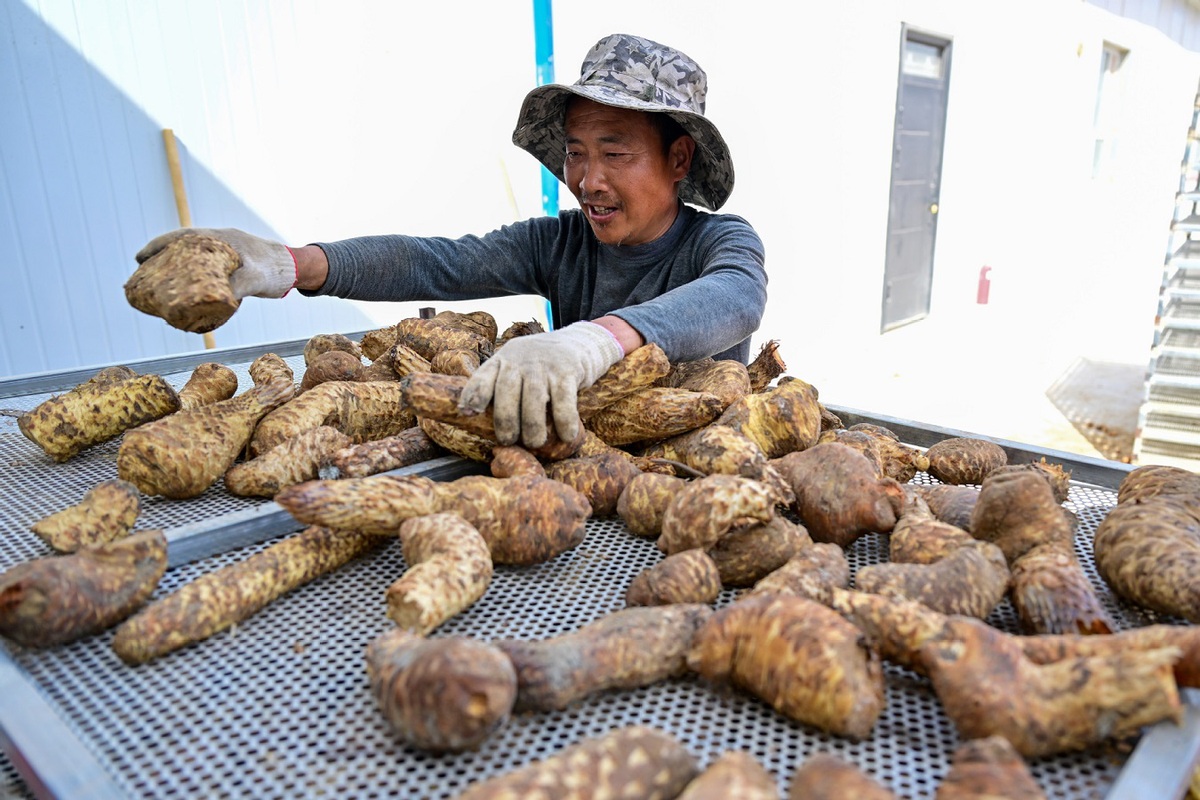 073abca2d7f663c27733646d7af52b01_67fdc428a3104d9fd155dee2.jpeg 073abca2d7f663c27733646d7af52b01_67fdc428a3104d9fd155dee2.jpeg