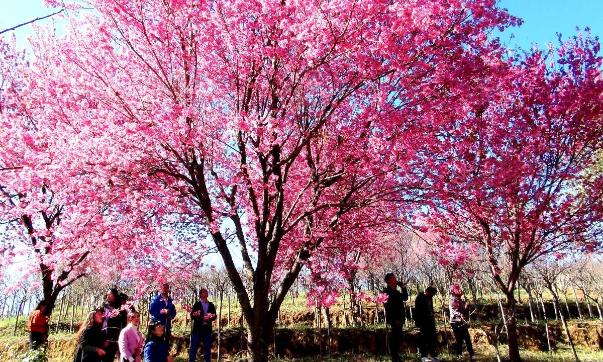 e061b5b38230dc8254d6f2b6d21a323e_a8c197d2-d012-49f5-baf0-5b1931dc30f7.jpeg e061b5b38230dc8254d6f2b6d21a323e_a8c197d2-d012-49f5-baf0-5b1931dc30f7.jpeg