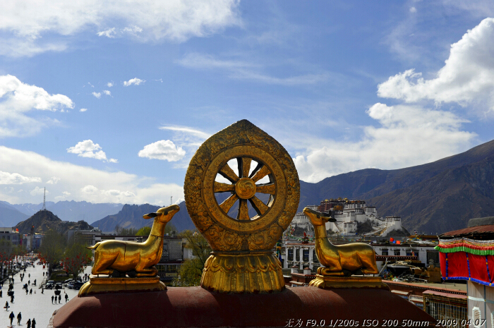 Jokhang Temple in Lhasa, southwest China&apos;s Tibet Autonomous Region. This photo was taken on early April this year. [Guo Xiaotian/China.org.cn]