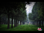 Temple of heaven. Photographer: Andrej Iliev, Slovakia. [China.org.cn] 