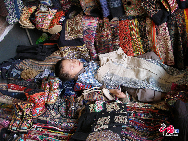 Nap Time. Photographer: Kruger, Canada. [China.org.cn] 